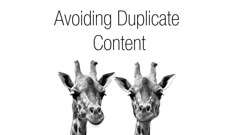 Avoid Dublicate Content image