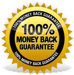 jasa tanam backlink