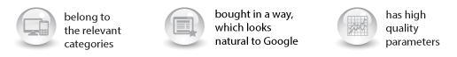 belong to the relevant categories; bought in a way, which looks natural to Google, has high quality parameters