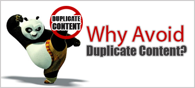  Duplicate Content on Website