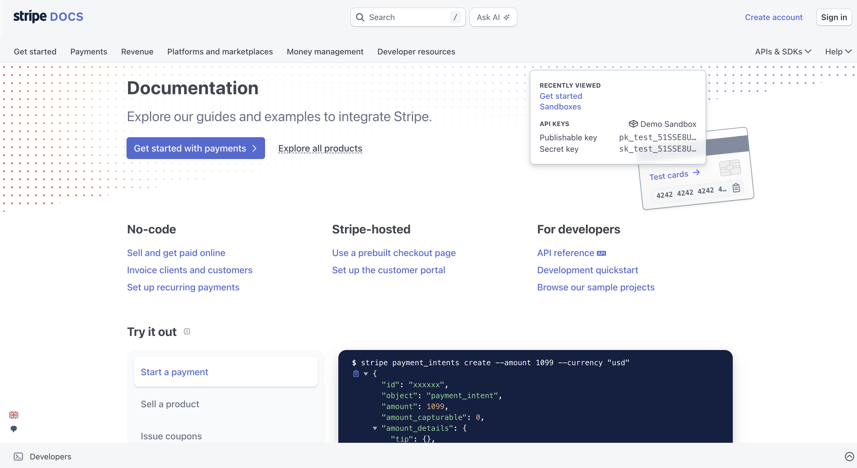 What is developer marketing